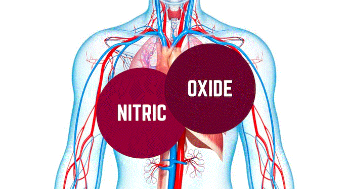Nitric Oxide in Physiology and Medicine