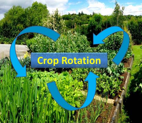 Crop Rotation Practices