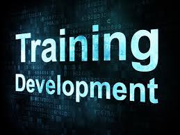 Designing Training and Development Programs