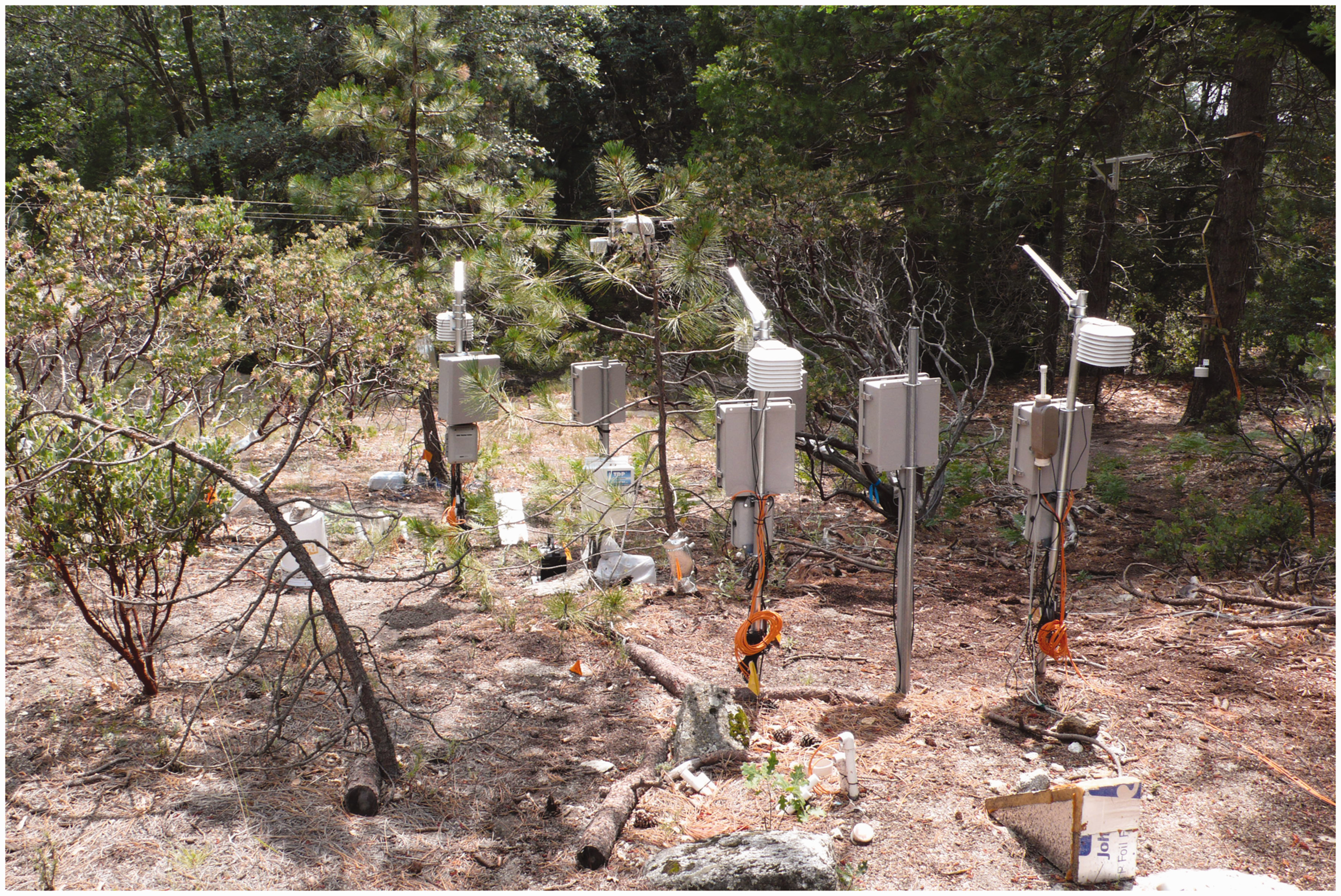 Remote Sensing in Forest Ecology and Management