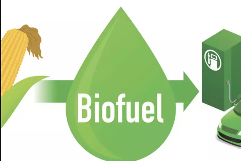 Biofuels from Agro-Food Residues