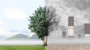 Air Pollution Prevention and Treatment