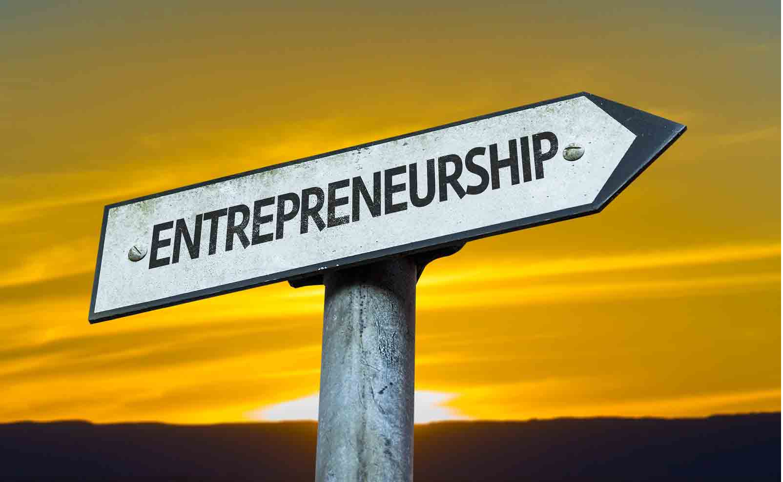  Competing Theories of Entrepreneurship