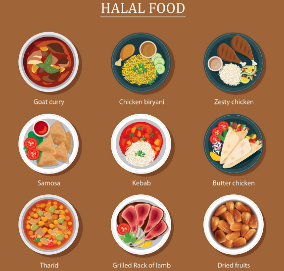 Introduction to Halal Food