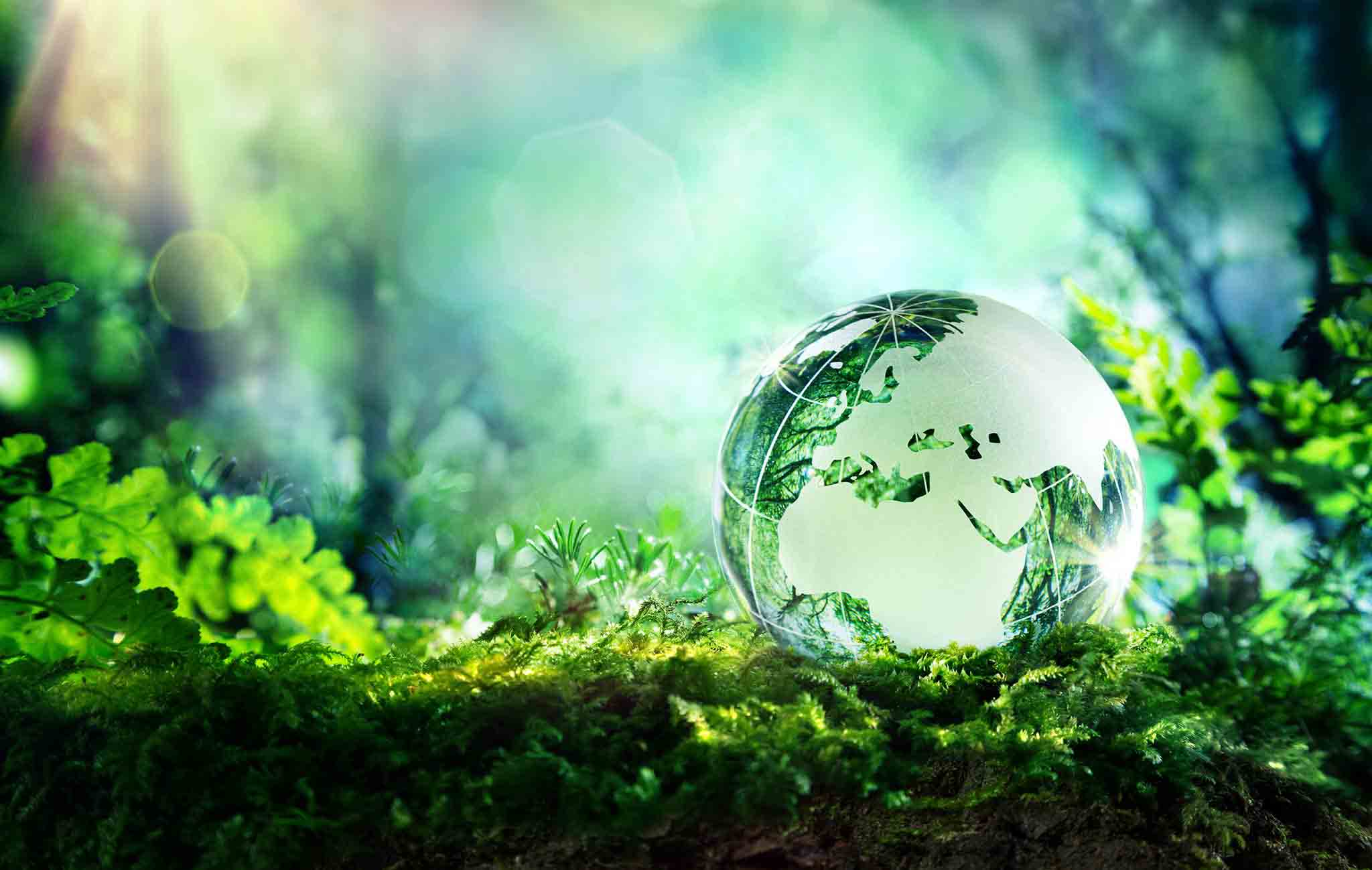 Environmental Sustainability and Human Values