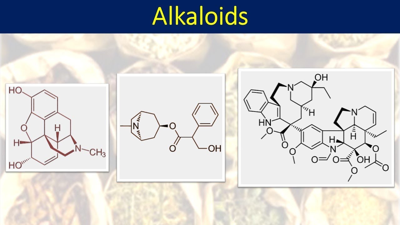 Biology of Alkaloids