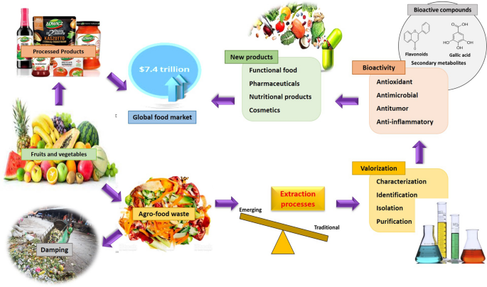 Extraction Technologies for the Production of Bioactive Compounds from Plant Food by-Products
