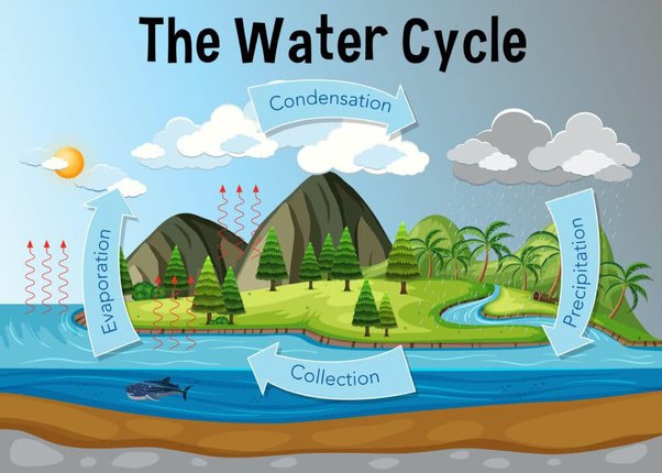 Water Cycle in Agriculture