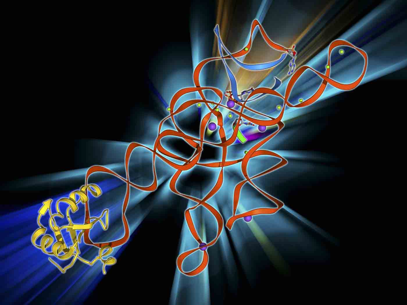 RNA Splicing