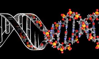 DNA Structure and Genetic Code