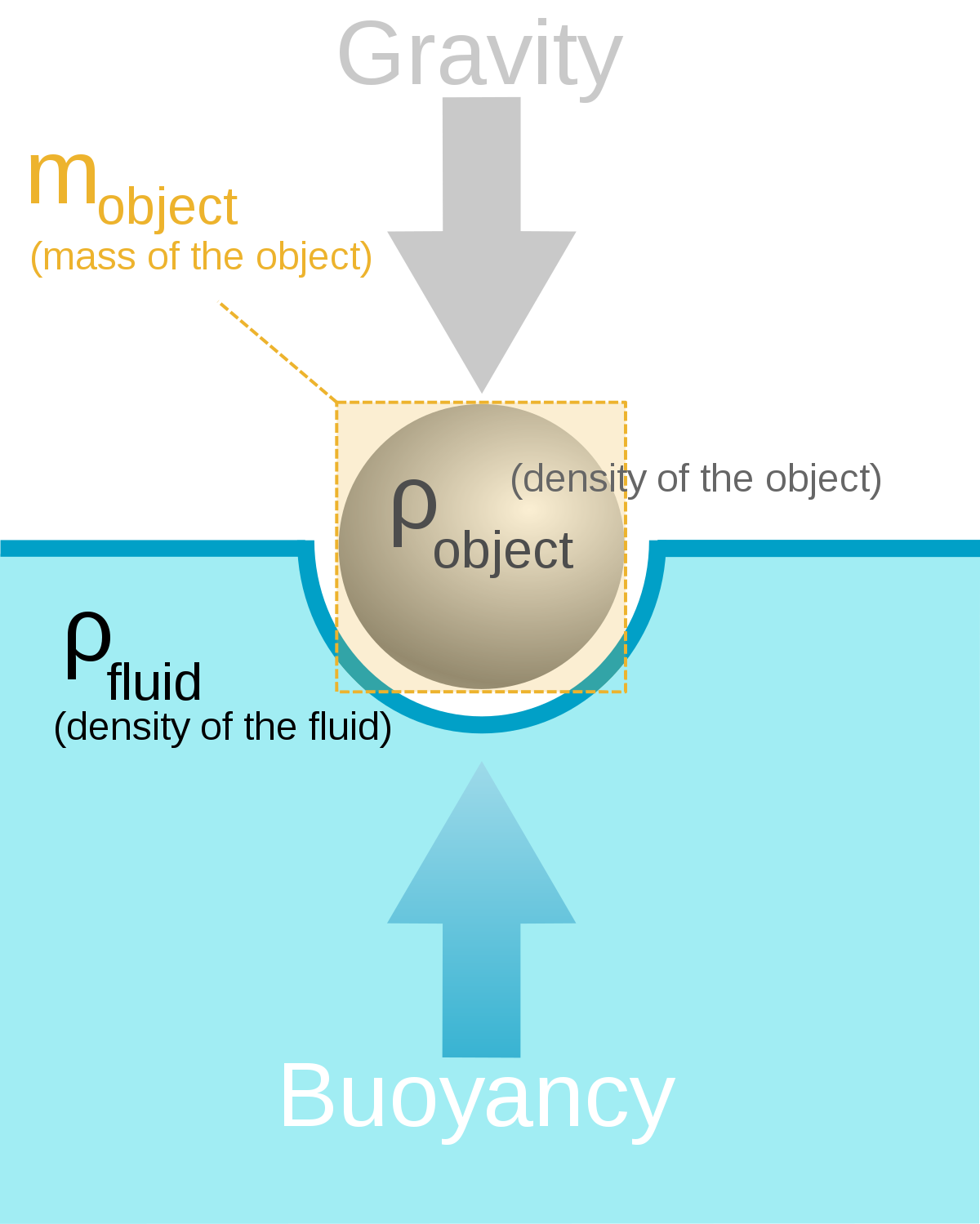 Hydrostatic Forces and Buoyancy
