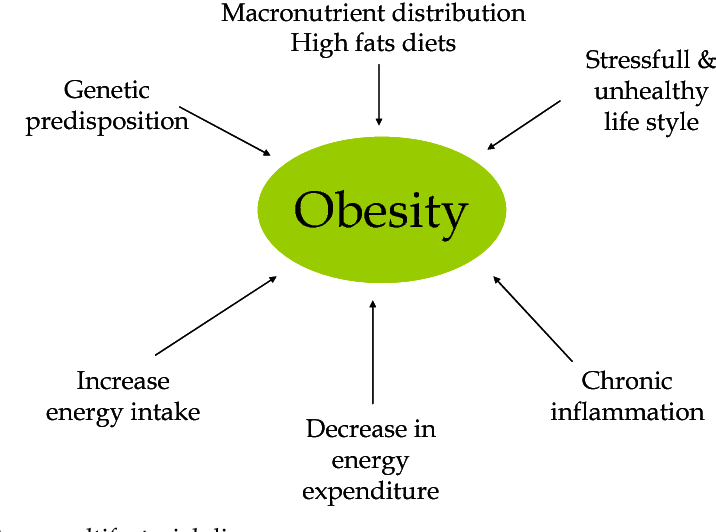 Biotechnological Trends in Functional Food against Obesity