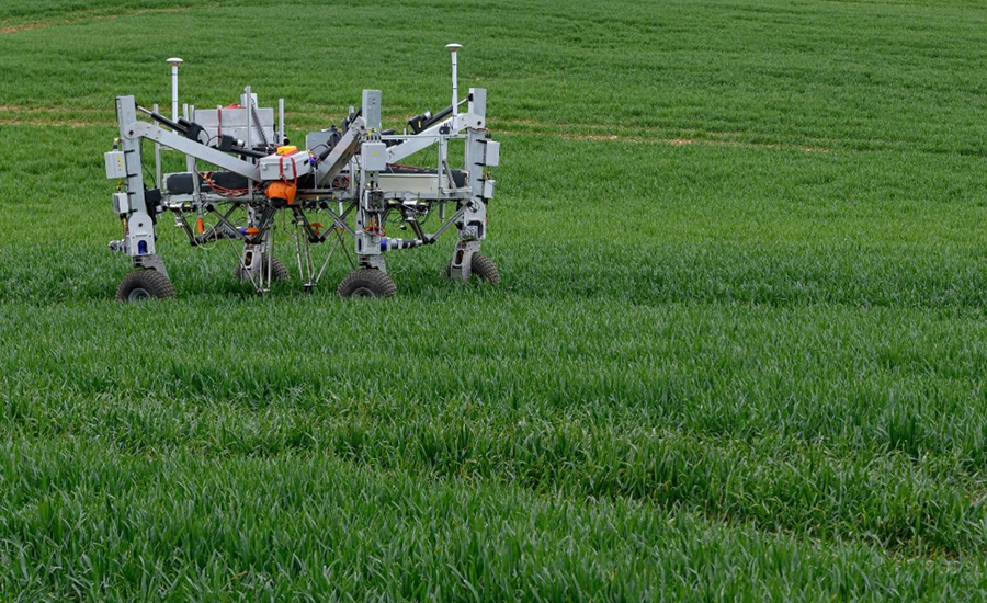 Unmanned Weeding Robot in Agriculture