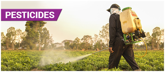Systemic and Nonsystemic Pesticides   