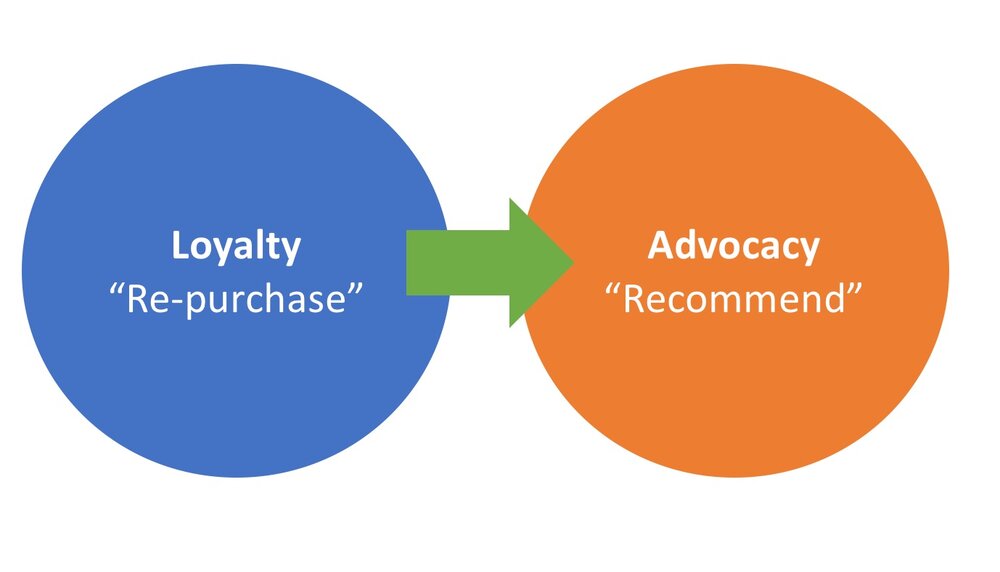 Customer Loyalty and Advocacy