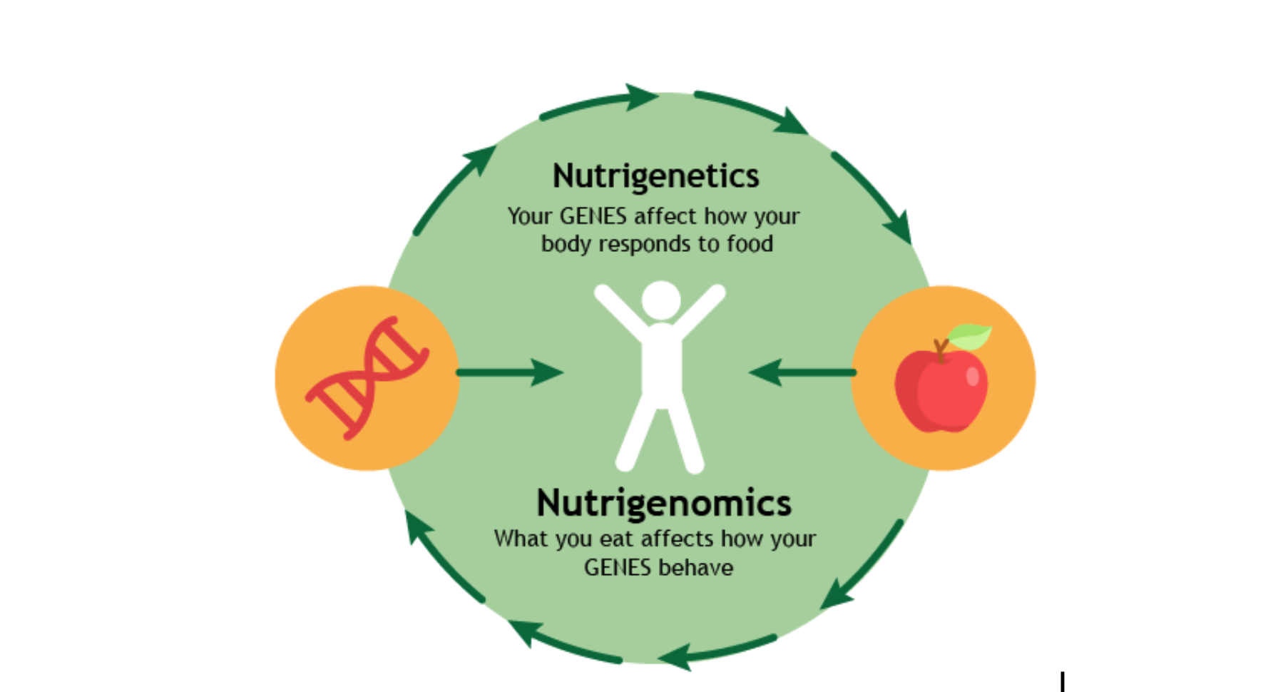 Nutrigenetics and nutrigenomics