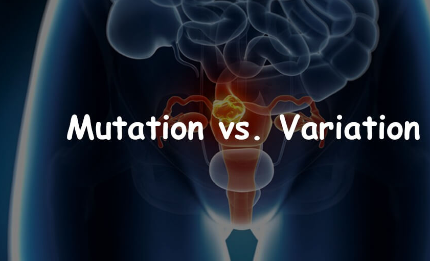 Mutation and Variation
