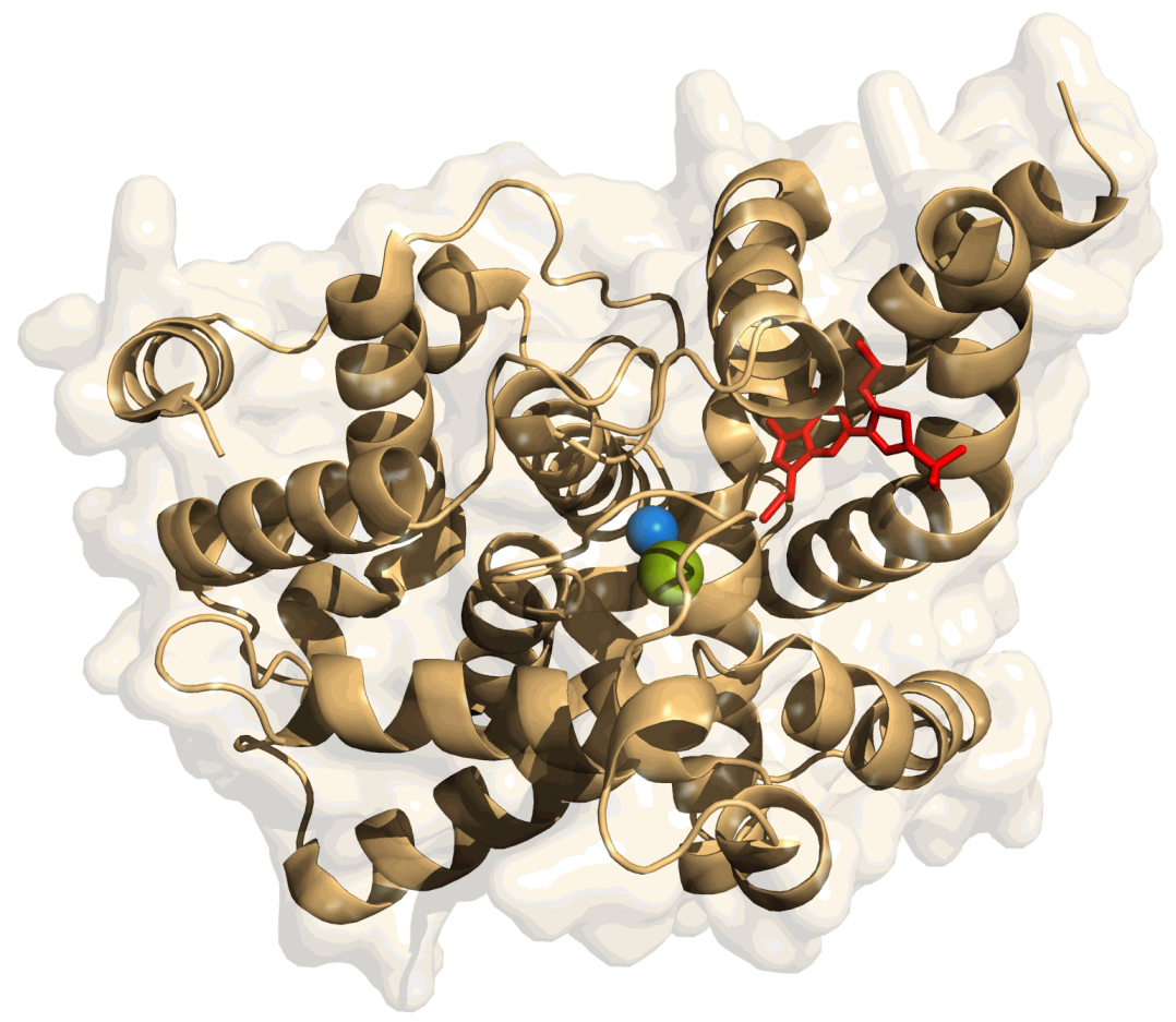Phosphodiesterase Inhibitors: A Chemogenomic View