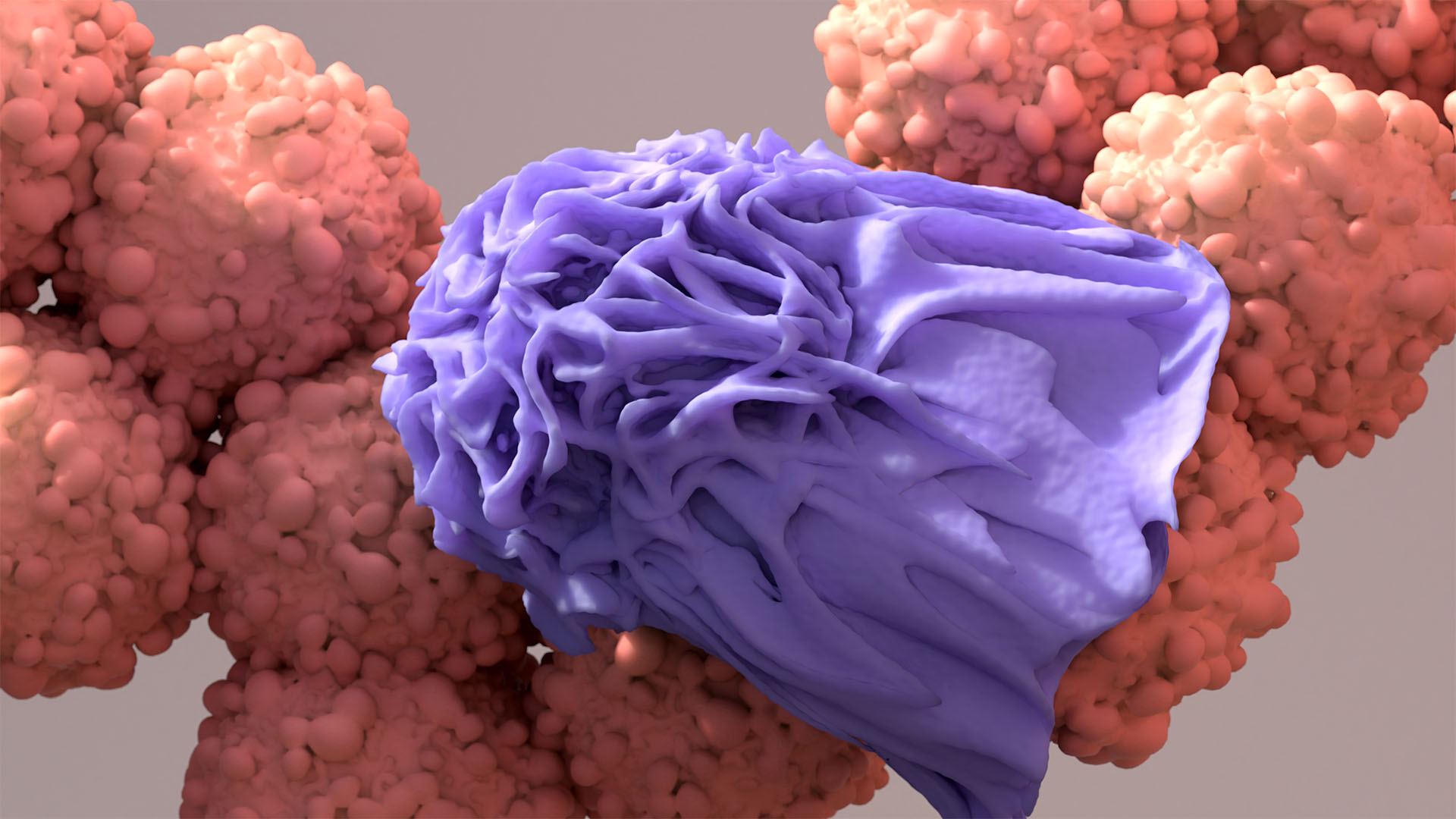Apoptosis implication in cancer