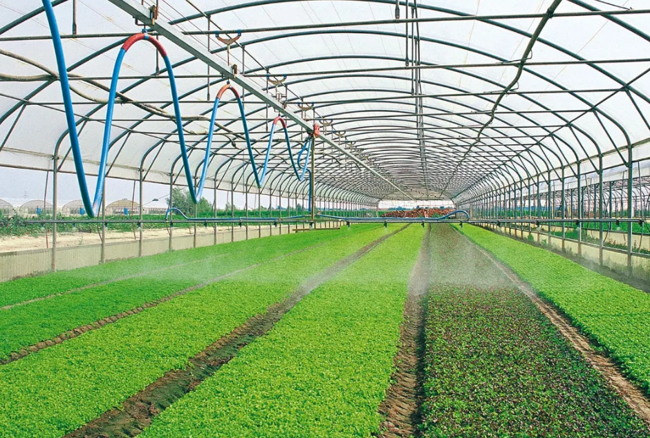 Irrigation System Used in Greenhouses