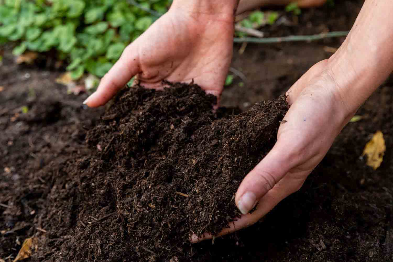 Fundamentals of Soil Health Analysis