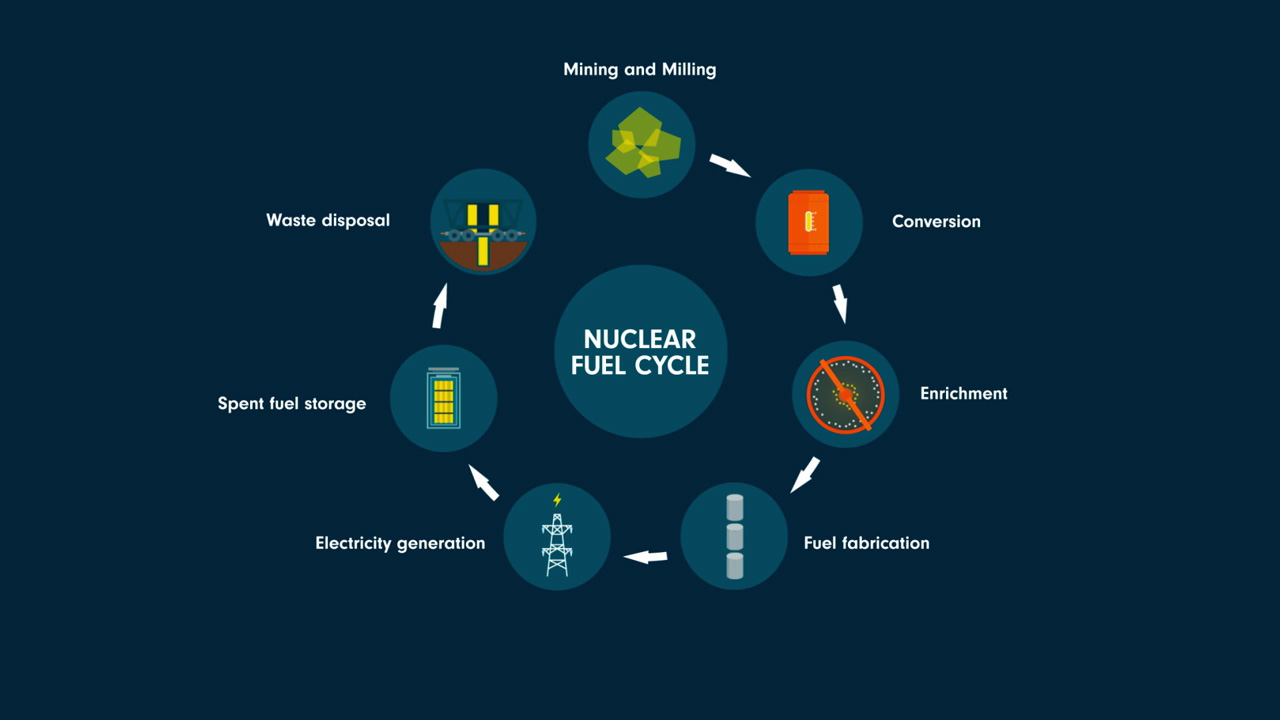 Fuel Cycles for Nuclear Reactors