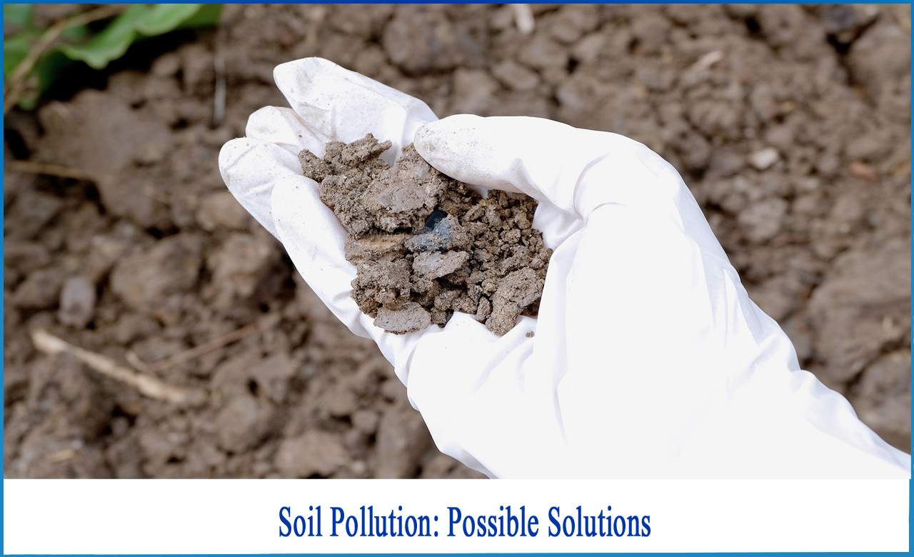 Possible Solutions to Soil Pollution